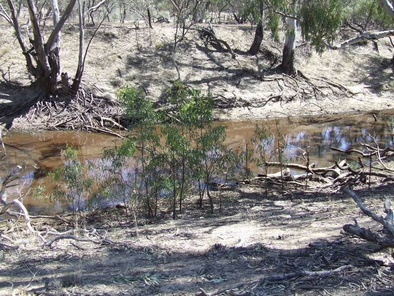 Lot 55 & 57,  Lower Tocumwal Road, Deniliquin NSW 2710