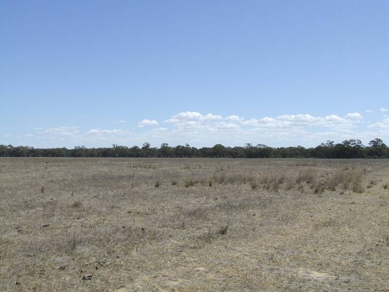Lot 55 & 57,  Lower Tocumwal Road, Deniliquin NSW 2710