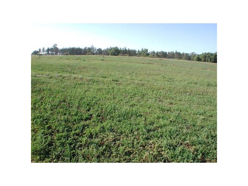 1038 Main Canal Road, Coleambally NSW 2707