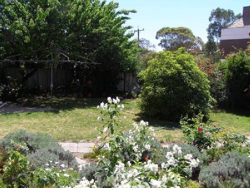 219 Cressy Street, Deniliquin NSW 2710