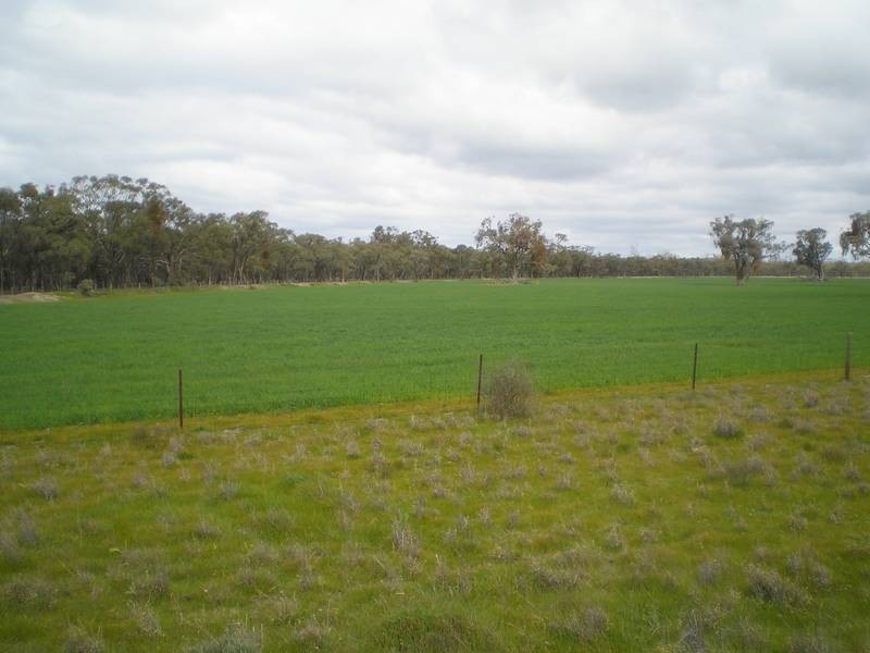 ** Karong East, Deniliquin NSW 2710
