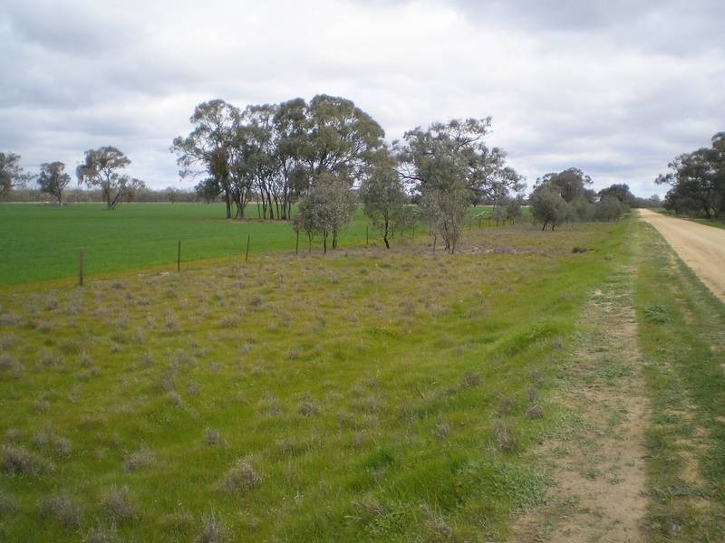 ** Karong East, Deniliquin NSW 2710