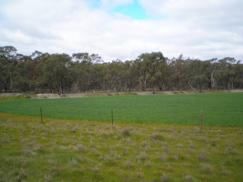 ** Karong East, Deniliquin NSW 2710