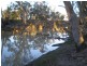 00 Thule Creek, Barham NSW 2732