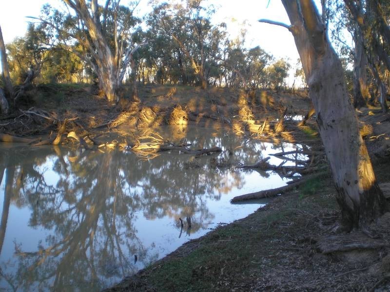 00 Thule Creek, Barham NSW 2732