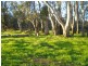 00 Thule Creek, Barham NSW 2732