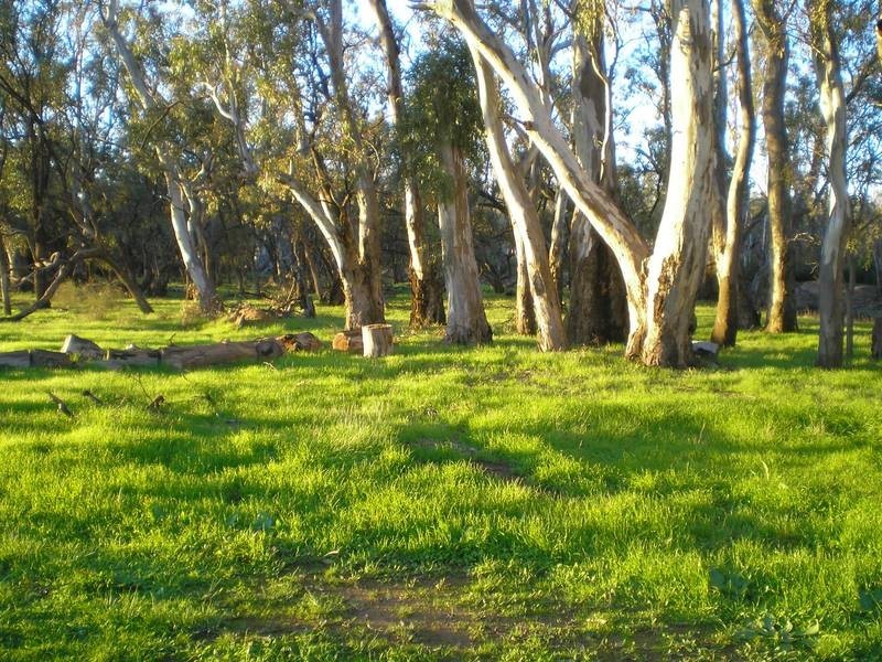 00 Thule Creek, Barham NSW 2732