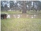 Lot 83, Mathoura NSW 2710