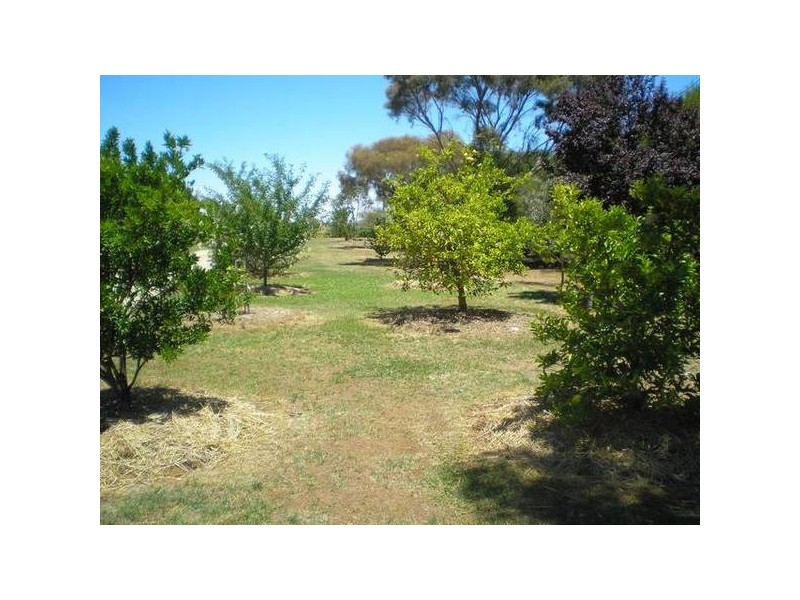 139 Lawson Syphon Road, Deniliquin NSW 2710