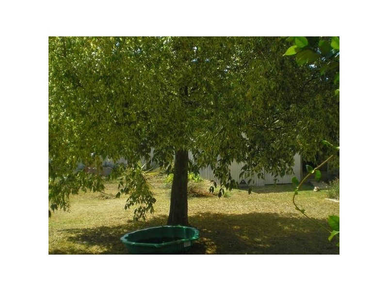 91 McKENZIE STREET, Deniliquin NSW 2710