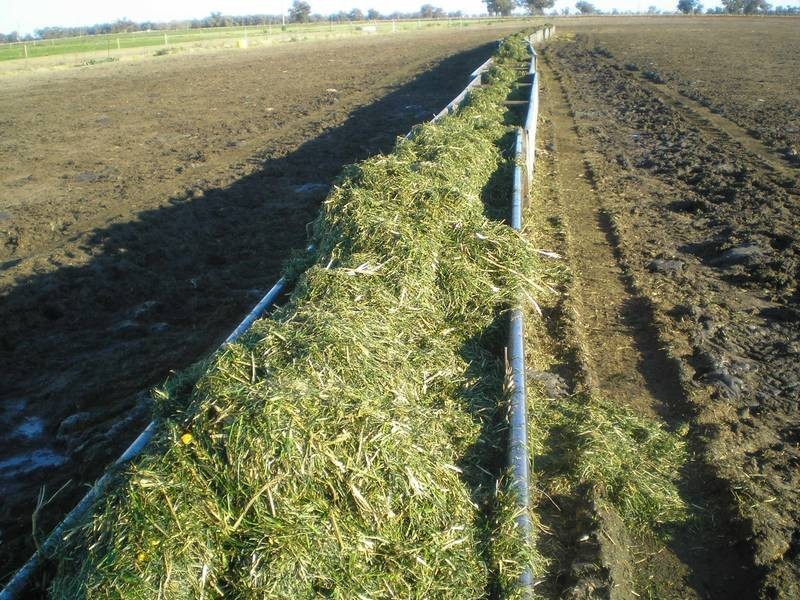 00 South Coree Road, Finley NSW 2713