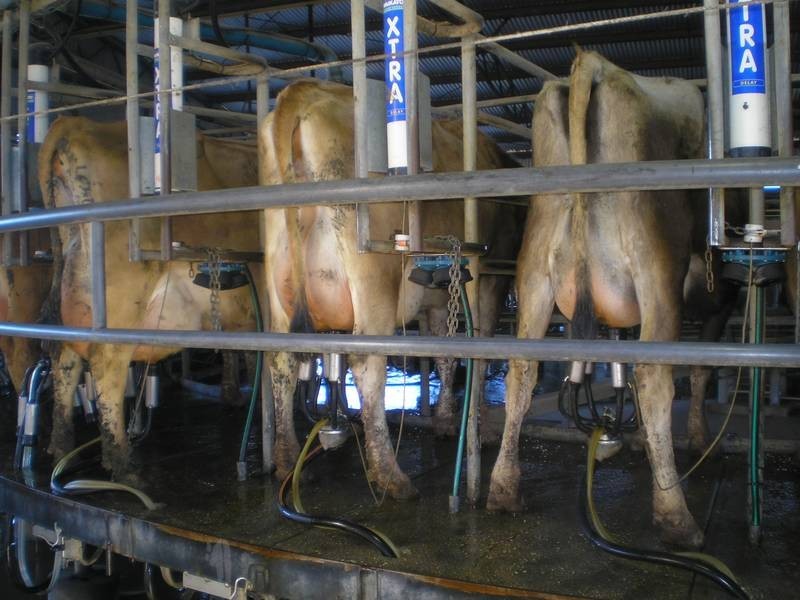 00 South Coree Road, Finley NSW 2713