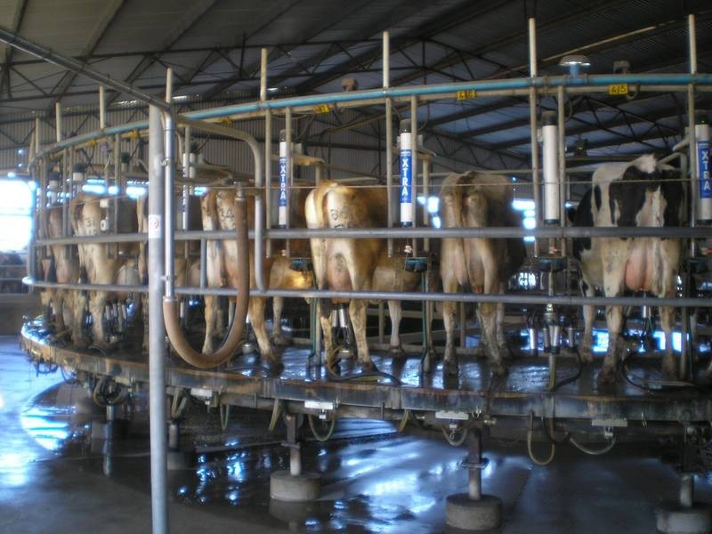 00 South Coree Road, Finley NSW 2713