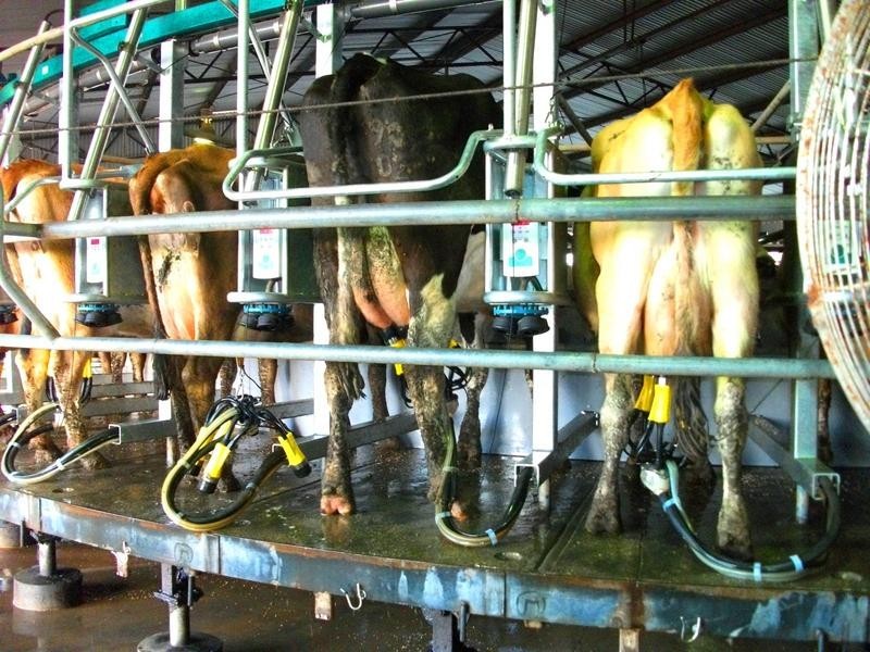 00 South Coree Road, Finley NSW 2713