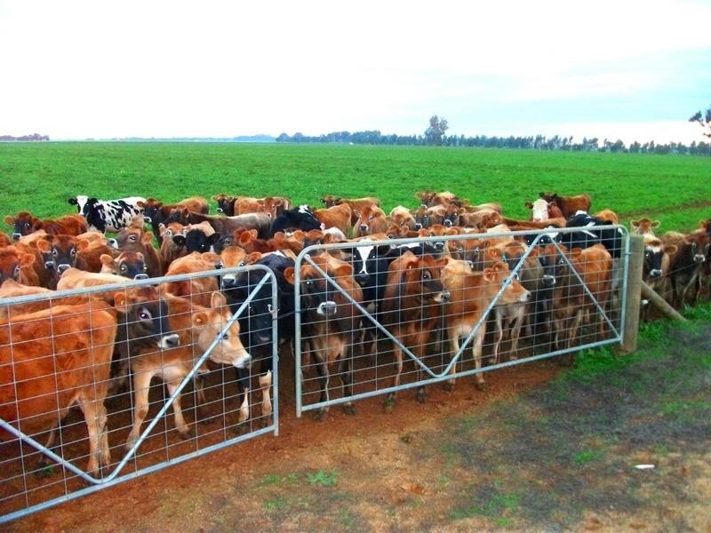 00 South Coree Road, Finley NSW 2713