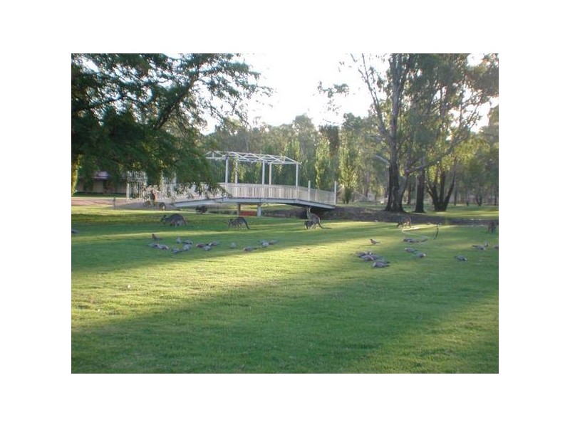 00 TARRAGON LODGE MATHOURA, Deniliquin NSW 2710