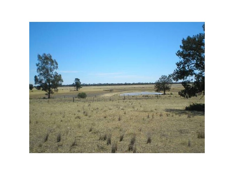 RURAL LIFESTYLE BLOCKS, Deniliquin NSW 2710