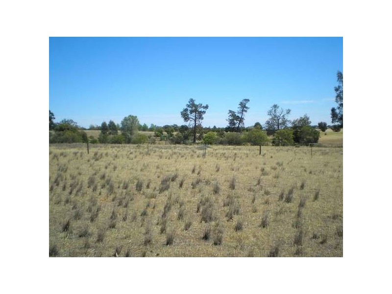 RURAL LIFESTYLE BLOCKS, Deniliquin NSW 2710