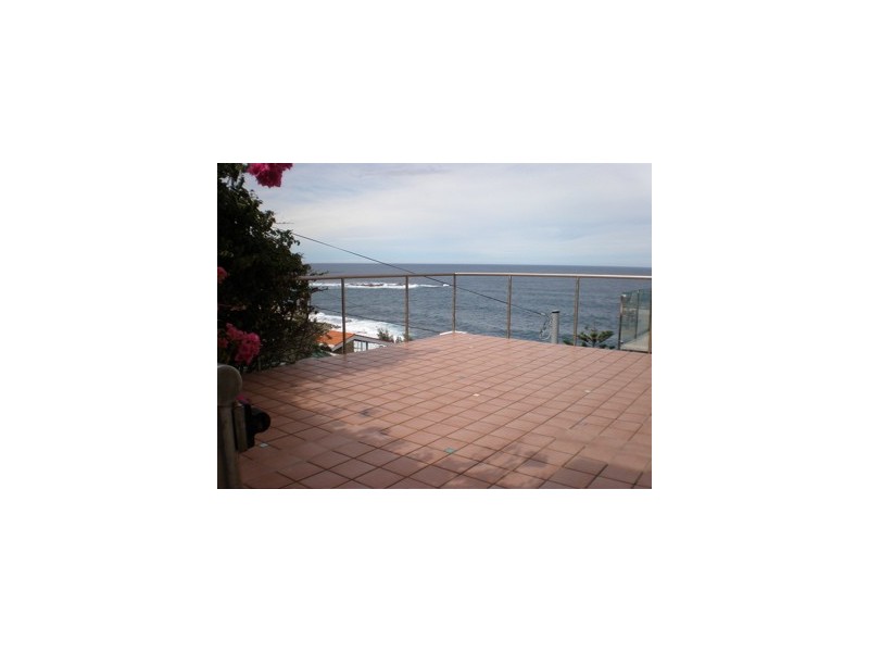 19 Cairo St, Coogee NSW 2034