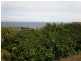 19 Cairo St, Coogee NSW 2034