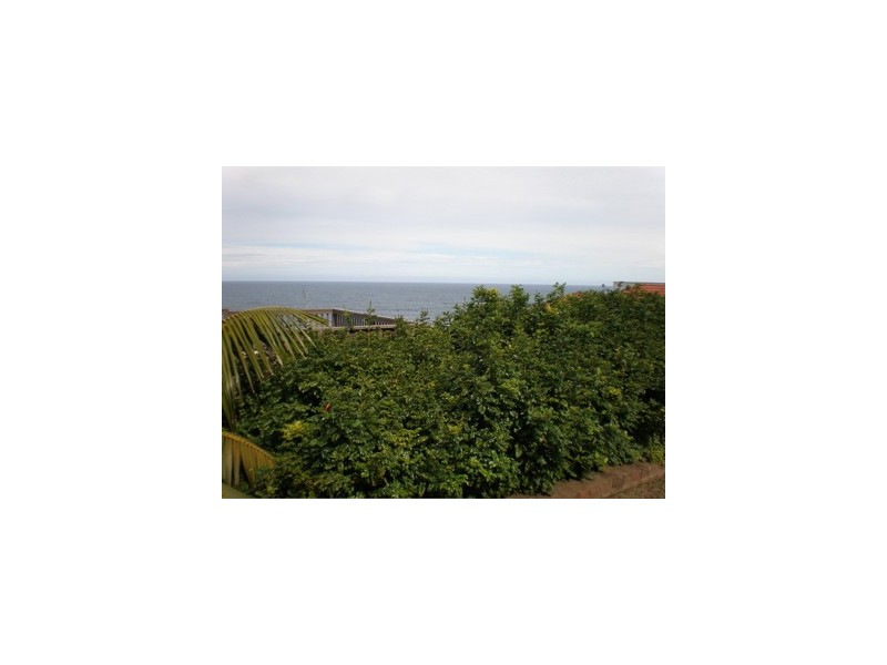 19 Cairo St, Coogee NSW 2034