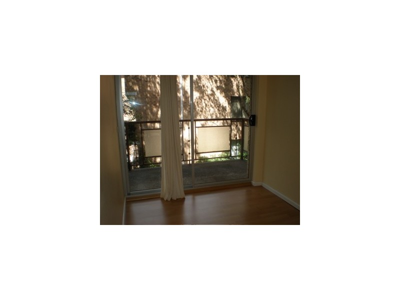 47 Albion St, Waverley NSW 2024