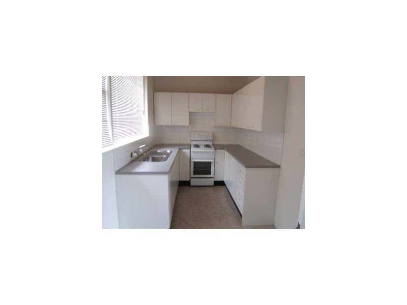 226 Oberon Street, Coogee NSW 2034