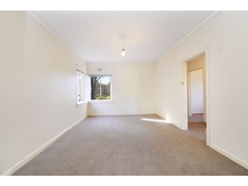 5 Abbey Street, Randwick NSW 2031