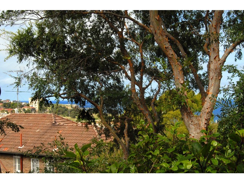 20/41-43 Carr Street, Coogee NSW 2034