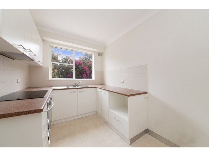31 Byron Street, Coogee NSW 2034
