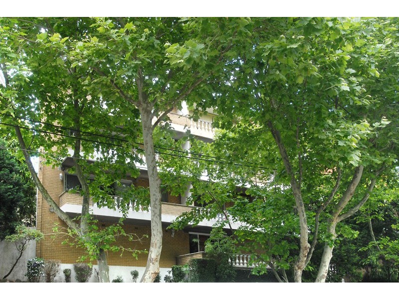 116 Alison Road, Randwick NSW 2031