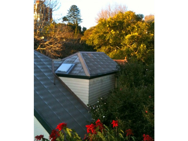 50B Ocean Street, Woollahra NSW 2025