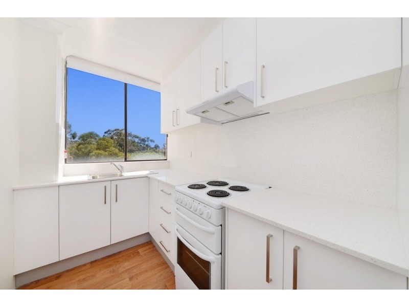 244 Alison ROAD, Randwick NSW 2031