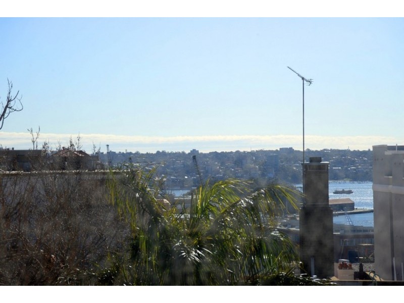 3 Greenknowe Avenue, Potts Point NSW 2011