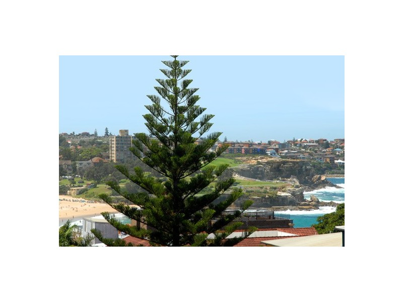 6/102 Dudley Street, Coogee NSW 2034