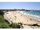 1/117 Mount Street, Coogee NSW 2034
