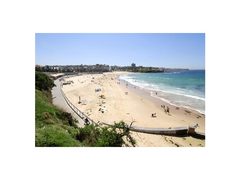 1/117 Mount Street, Coogee NSW 2034