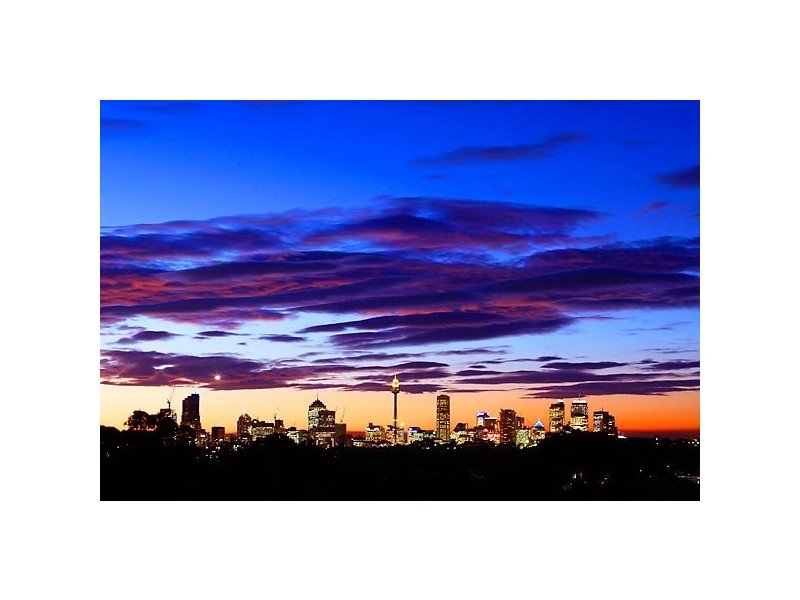 99 Frenchmans Road, Randwick NSW 2031