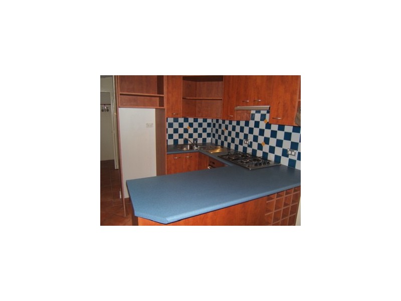 25 Elswick Street, Leichhardt NSW 2040