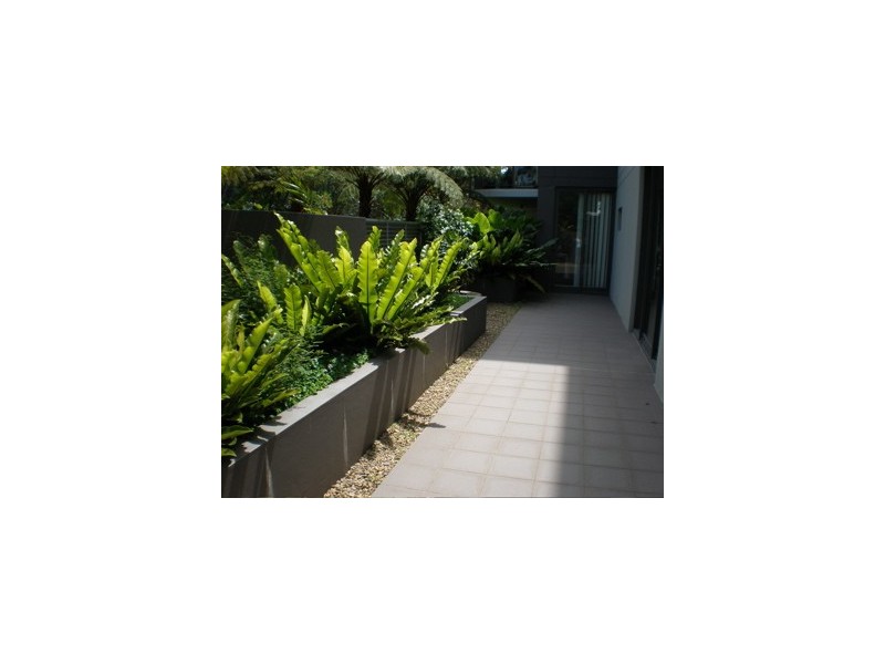 106 Brook Street, Coogee NSW 2034