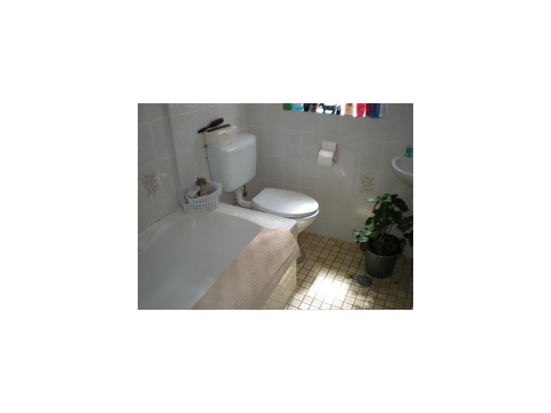 31 Dudley Street, Coogee NSW 2034