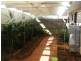 Wilsonton QLD 4350