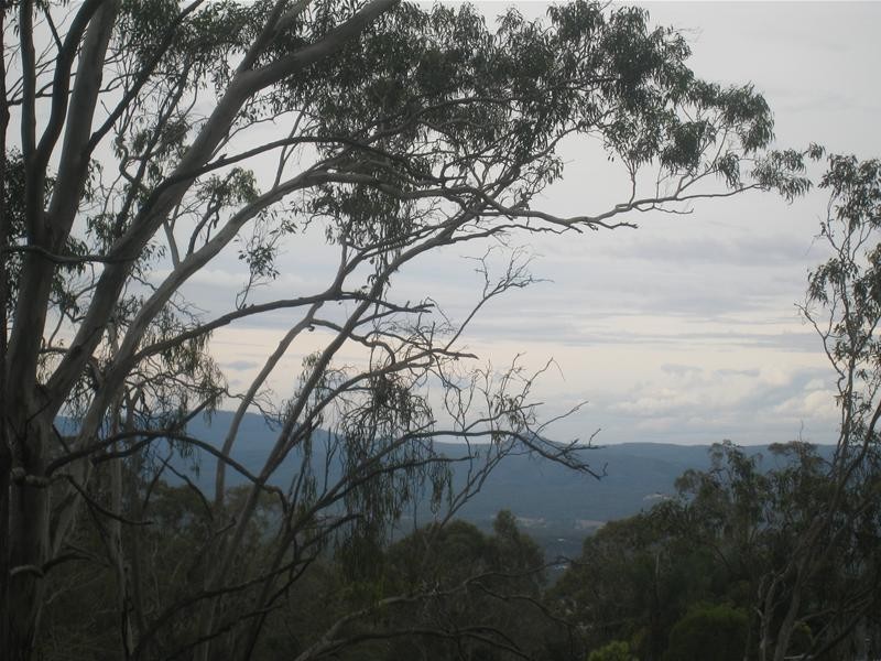 Rangeville QLD 4350