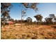 Birnam QLD 4352