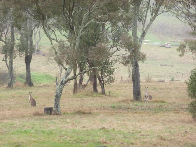 Drayton QLD 4350