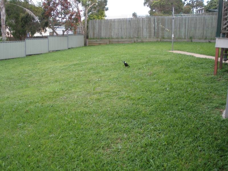 Darling Heights QLD 4350