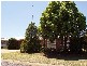 South Toowoomba QLD 4350