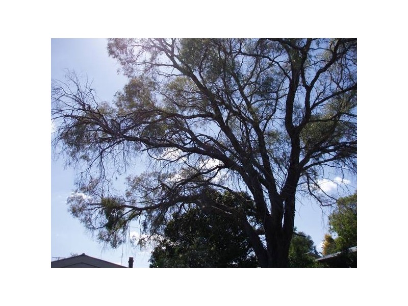 Toowoomba City QLD 4350