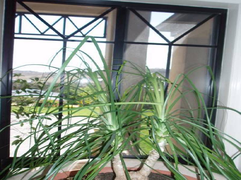 Hodgson Vale QLD 4352