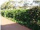 South Toowoomba QLD 4350